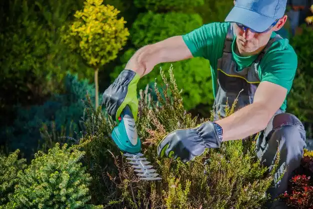 landscaping services Waldron